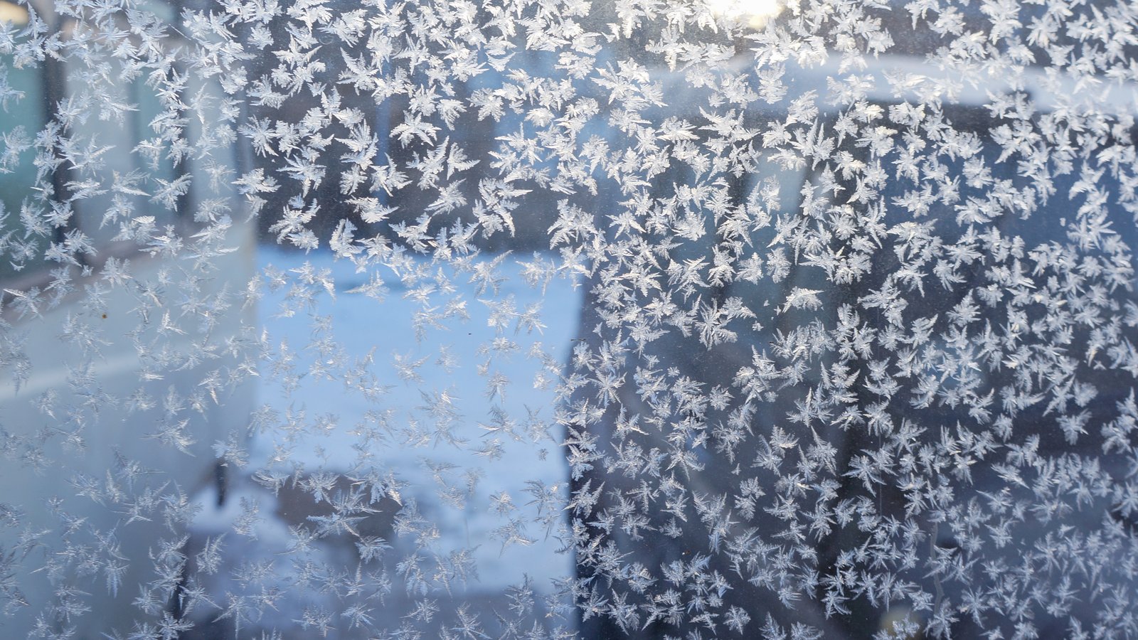 Givre sur une vitre de fenêtre par grand froid